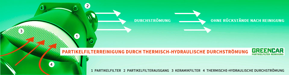 PKW Filterreinigung