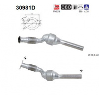 AS Katalysator 30981D