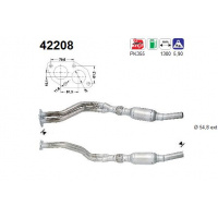 AS Katalysator 42208